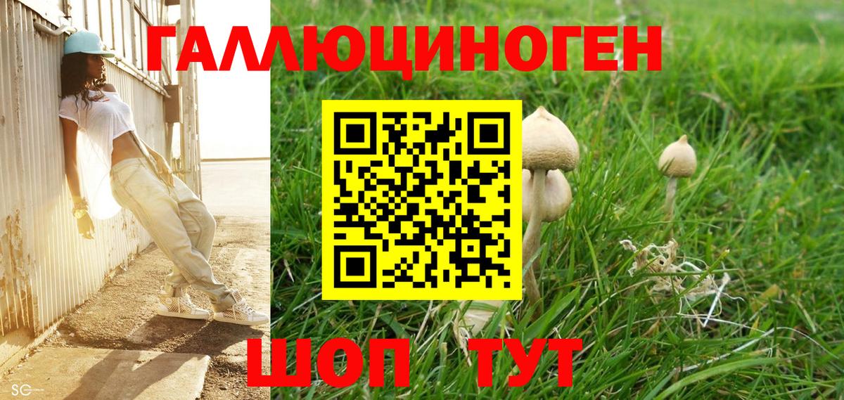 Псилоцибиновые грибы Cubensis  Псилоцибиновые грибы Cubensis  купить закладку  Вход с VPN  Туапсе 