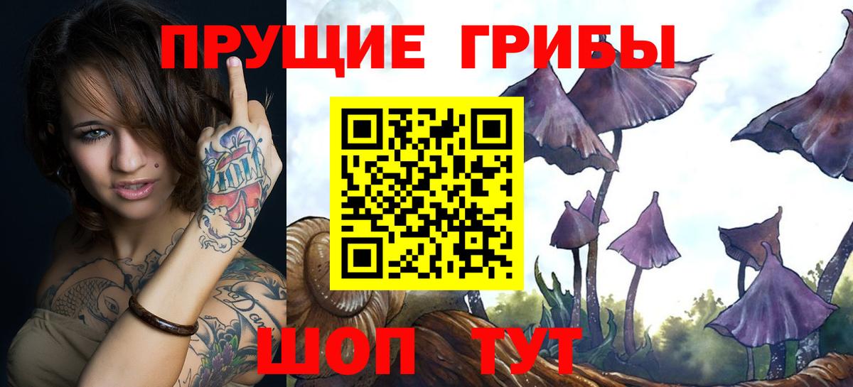 Псилоцибиновые грибы MAGIC MUSHROOMS Туапсе